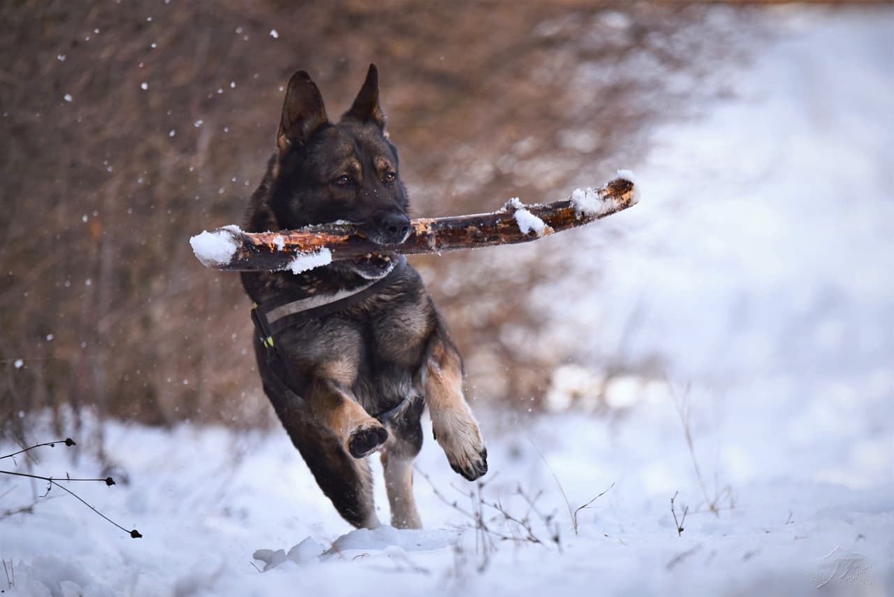 Node.js 18 updates OpenSSL support, enables fetch API